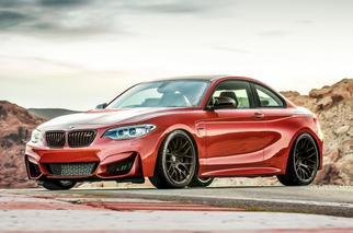 M2 coupe (F87)
